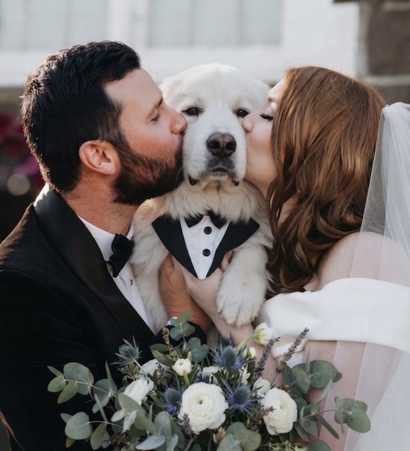 Novios besando a su perro con pajarita el día de su boda